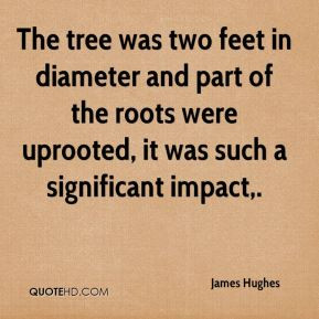James Hughes - The tree was two feet in diameter and part of the roots ...
