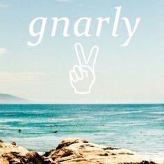 Gnarly ocean // #ocean #gnarly #peace #beach #cmnty #savethesea ...