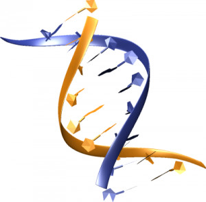 Biotechnology is the application of technology in life science to ...