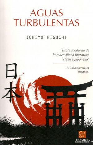 disgrace' coetzee summary analysis