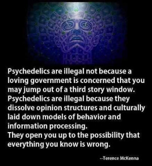 Psychedelics Quote