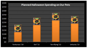 Pet spending at Halloween: Image of cat in pumpkin costume courtesy of ...