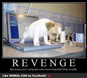 Revenge So perfect!!!