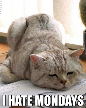 Hi folks.....how is this weekend???