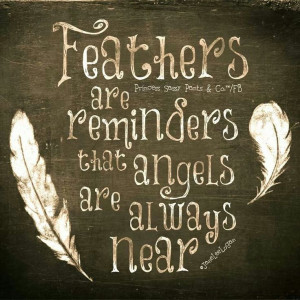 This adage refers to feathers as the “calling card” of angels ...
