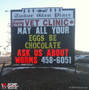 Funny Veterinary Signs