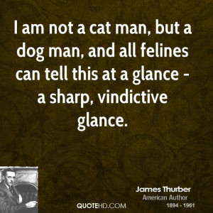 am not a cat man, but a dog man, and all felines can tell this at a ...
