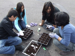 Younger Muslims are given the do-it-yourself workshop for growing ...