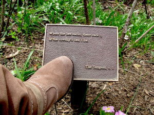 Where the bee sucks quote The Tempest Central Park