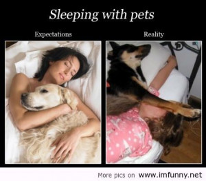 Sleeping with pets / Funny Pictures, Funny Quotes – Photos, Quotes ...