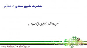 Hazrat Sheikh Saadi RA Quotes