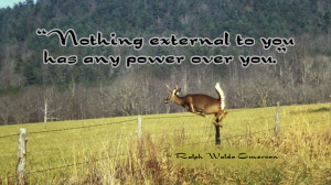 Deer Jumping Fence External Power | Ralph Waldo Emerson