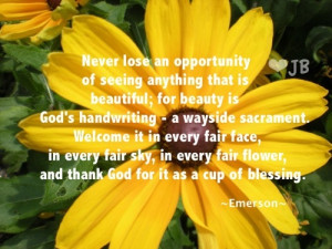 Beauty is all around us.