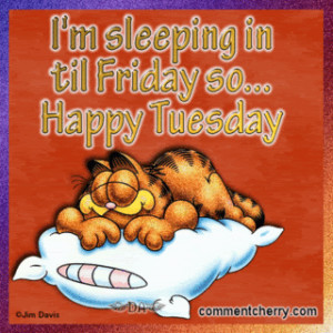 happy tuesday quotes