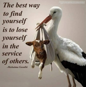 ... Best Way To Find Yourself Is To Lose Yourself In The Service Of Others