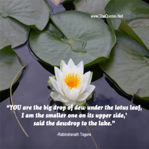 YOU are the big drop of dew under the lotus leaf,