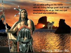 Funny American Indian Sayings | Native American Sayings Comments ...