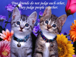 True friends do not judge each other, they judge people together.