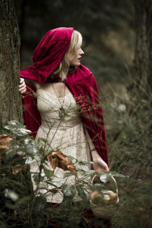 Little Red Riding Hood: Use the dogs aswolves throughout the shoot ...