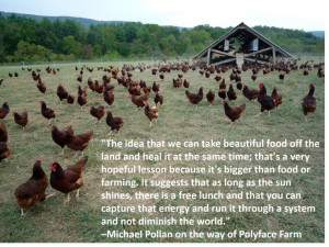 Michael Pollan quote about Polyface farm
