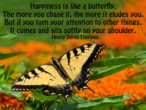 Quote: Happiness is Like a Butterfly