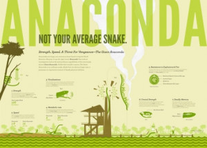 funny anaconda pictures