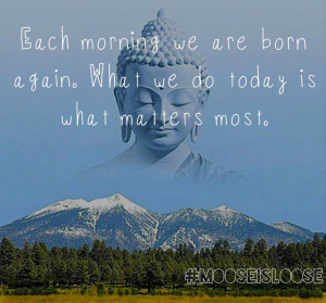 More Quotes Pictures Under: Buddhist Quotes