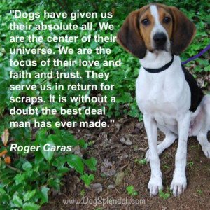 Quotes about Dogs by Roger Caras