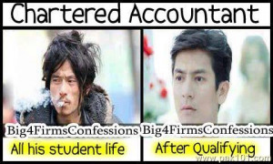Chartered Accountant Life