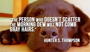 Quotes for People Who Hate Mornings