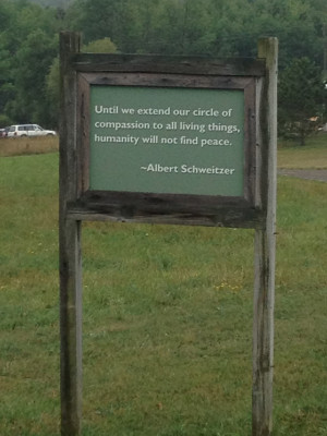 This is one of the affirming quotes conspicuously posted throughout ...