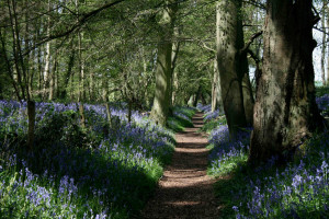 niurca marcos en cueros debs clothing store fcat sample test for 5th ...