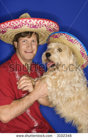 stock photo fluffy brown dog and caucasian male young adult wearing ...