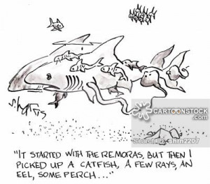 Catfish Cartoons Cartoon...
