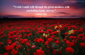 Name : beautiful-rose-flower-widescreen-wallpaper-with-romantic-quote ...