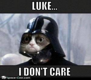 ... labels cats darth vader grumpy cat funny animals funny pics humor