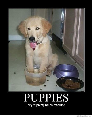 Puppies they’re pretty much retarded