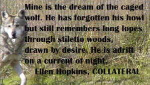Ellen Hopkins Quote of the Day is from COLLATERAL