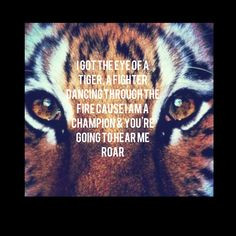 of a tiger A fighter Dancing through the fire Cause' I am a champion ...
