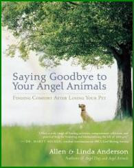 QUOTES from Saying Goodbye to Your Angel Animals by Allen and Linda ...