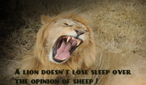 joseemariek_lion_losesleep_opinion_sheep_201418_blog_twtr_pntrst_