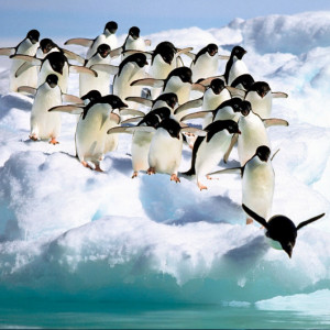 ... 20 Inspirational Motivational Poster Quotes on Sports and Life