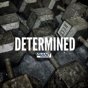 It's the Determination and Commitment to Unrelenting Pursuit of Your ...