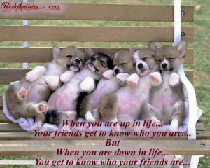 True Friendship.... ~ Quotes-Pictures | Inspirational Quotes ...