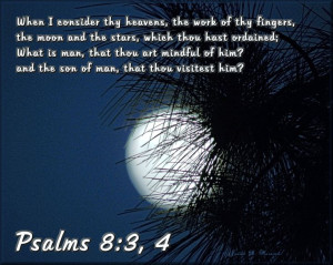 Psalm 8:3, 4 Full moon through pine branch.