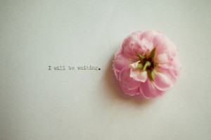 flower, pink, simple, text, wait, word