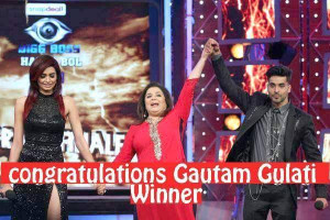 Gautam Gulati the winner of Bigg Boss 8, is the latest treading topic ...