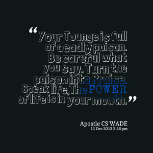 Be Careful What You Say Quotes