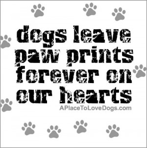 Dogs leave paw prints forever on our hearts