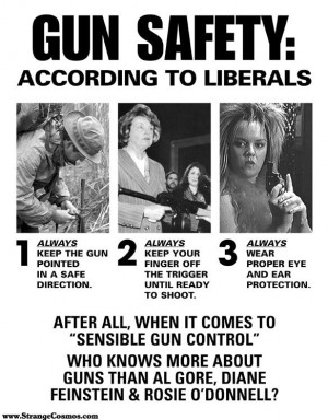 LIBERAL' GUN SAFETY POSTER